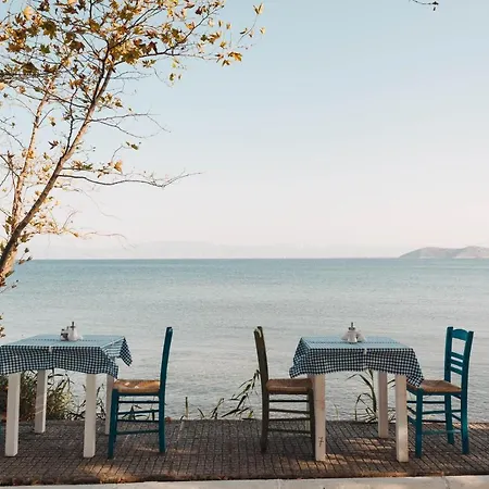 מלון Vournelis 3*